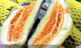 山东最新吃瓜爆料,揭秘神秘事件背后的真相