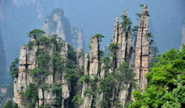 张家界吃瓜爆料,揭秘当地美食背后的故事